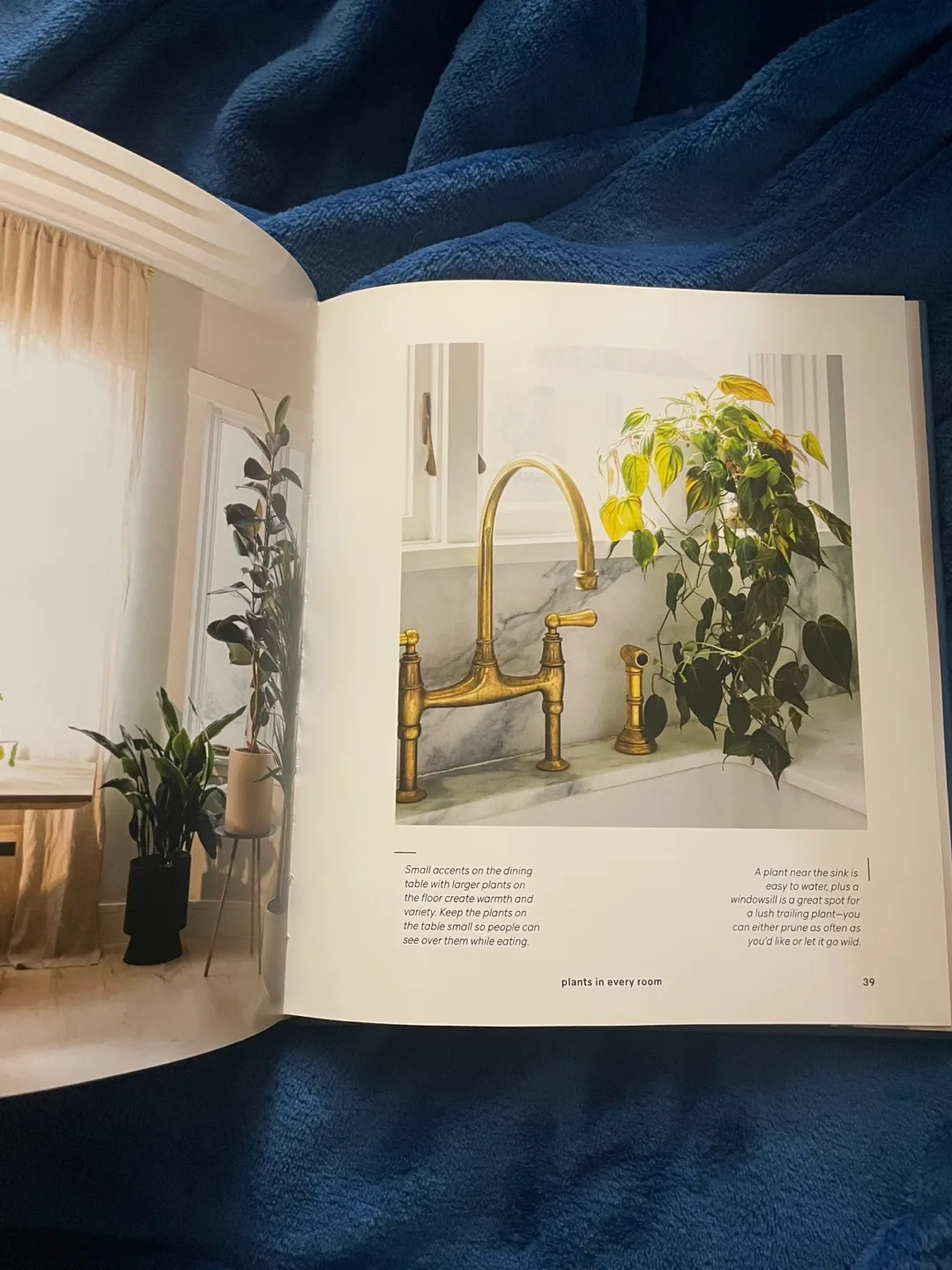 House Planted: Styling the Perfect Plants for Your Space image indicator(3)