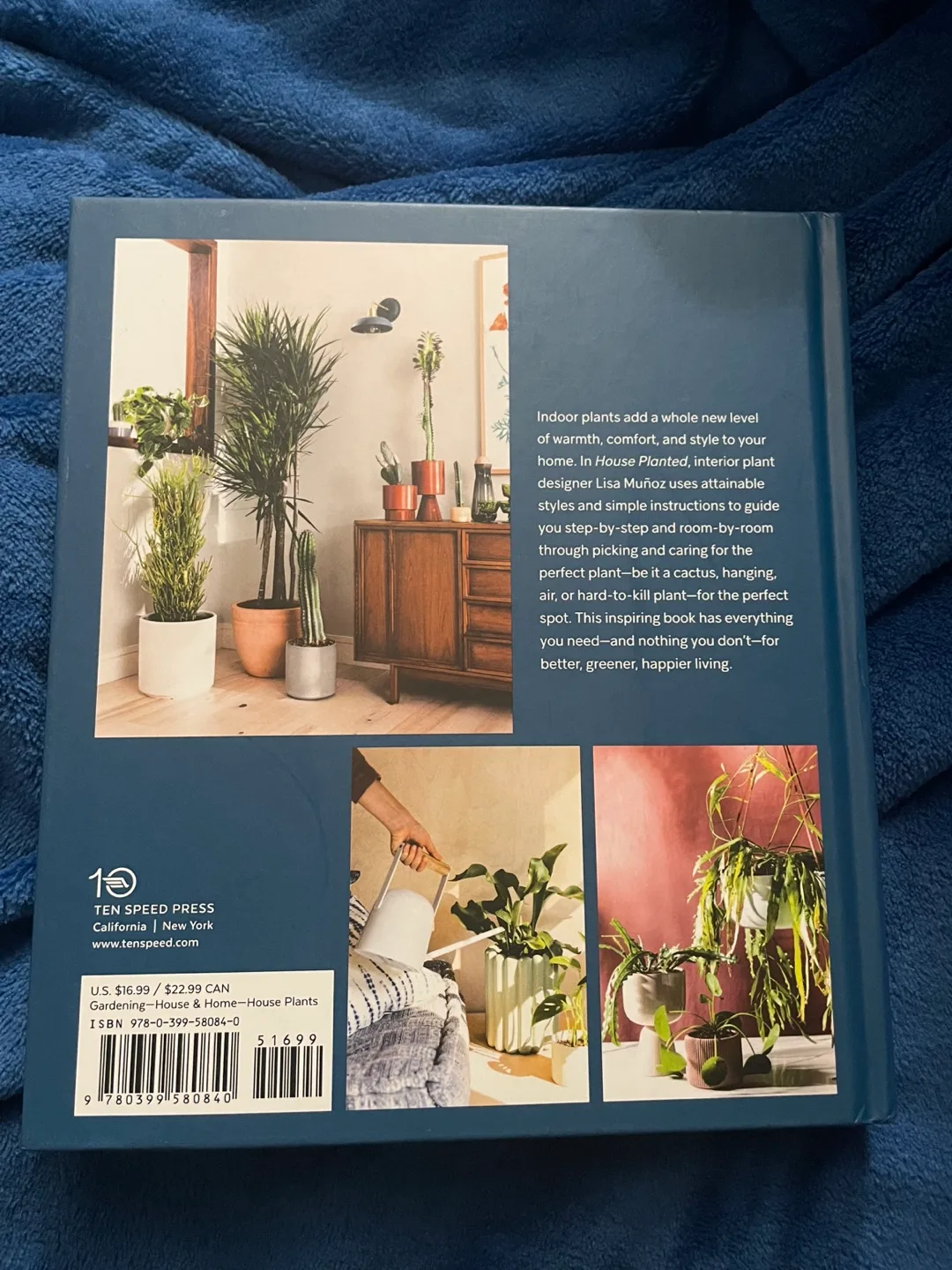 House Planted: Styling the Perfect Plants for Your Space image indicator(2)