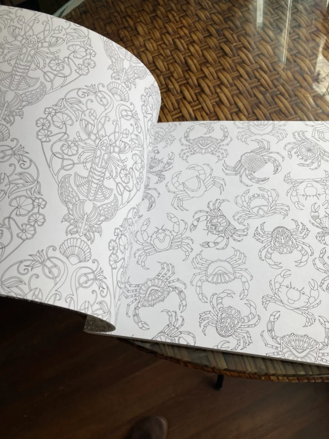 Lost Ocean: Inky Adventure Coloring Book image indicator(4)