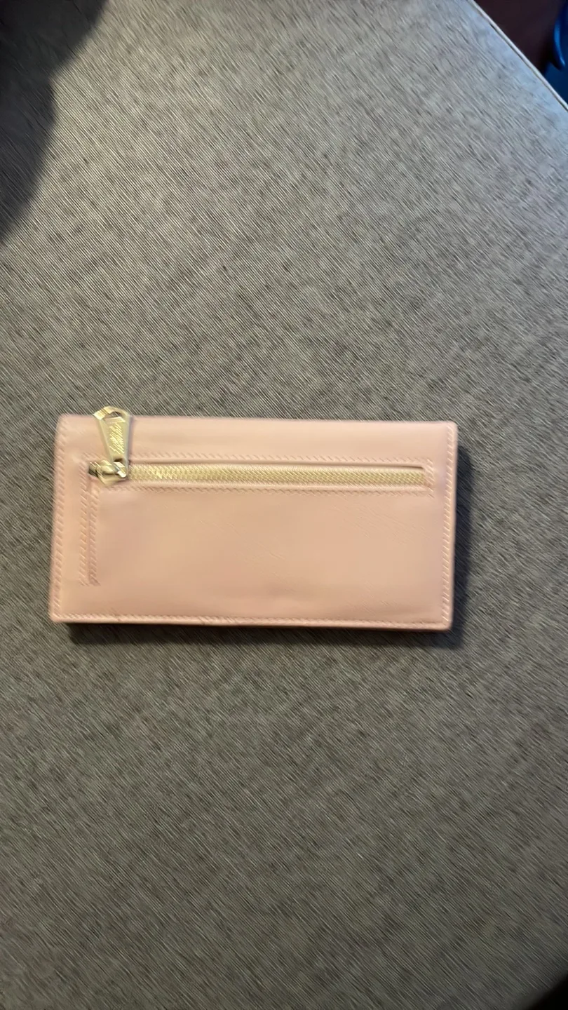 Aimee Kestenberg Wallet image indicator(3)