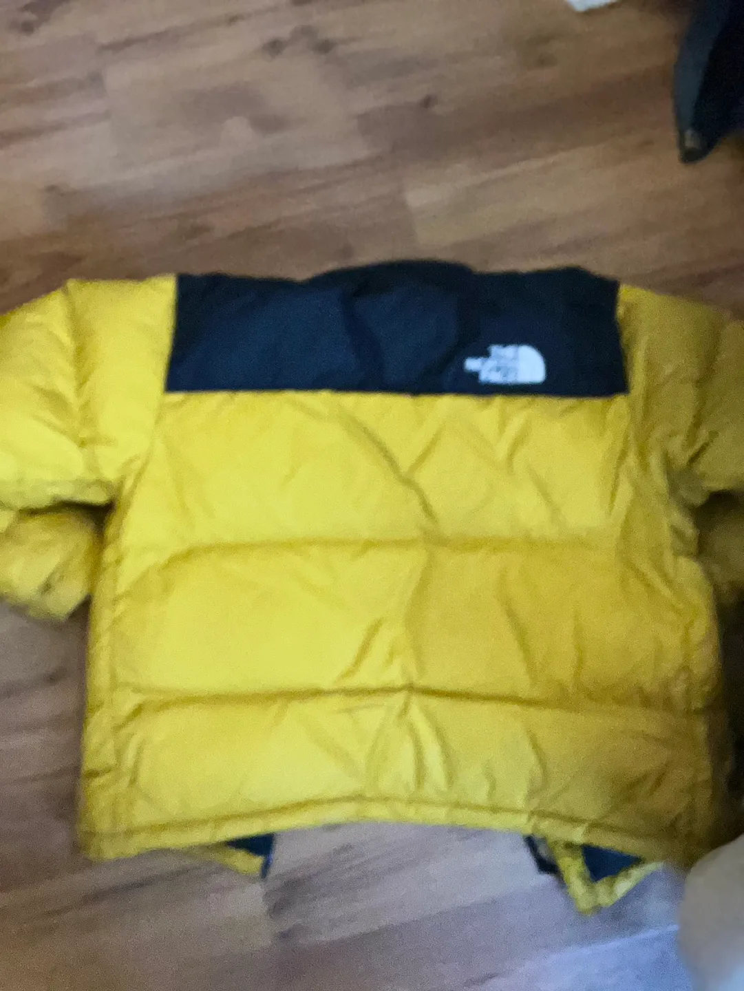 The North Face Nuptse 700 Fill Down Jacket image indicator(9)