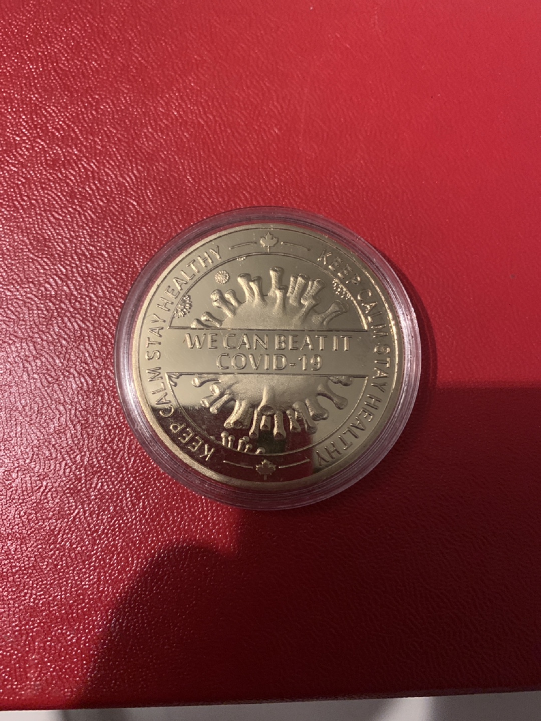 Doug Ford COVID-19 Commemorative Coin #freecycle - photo 2