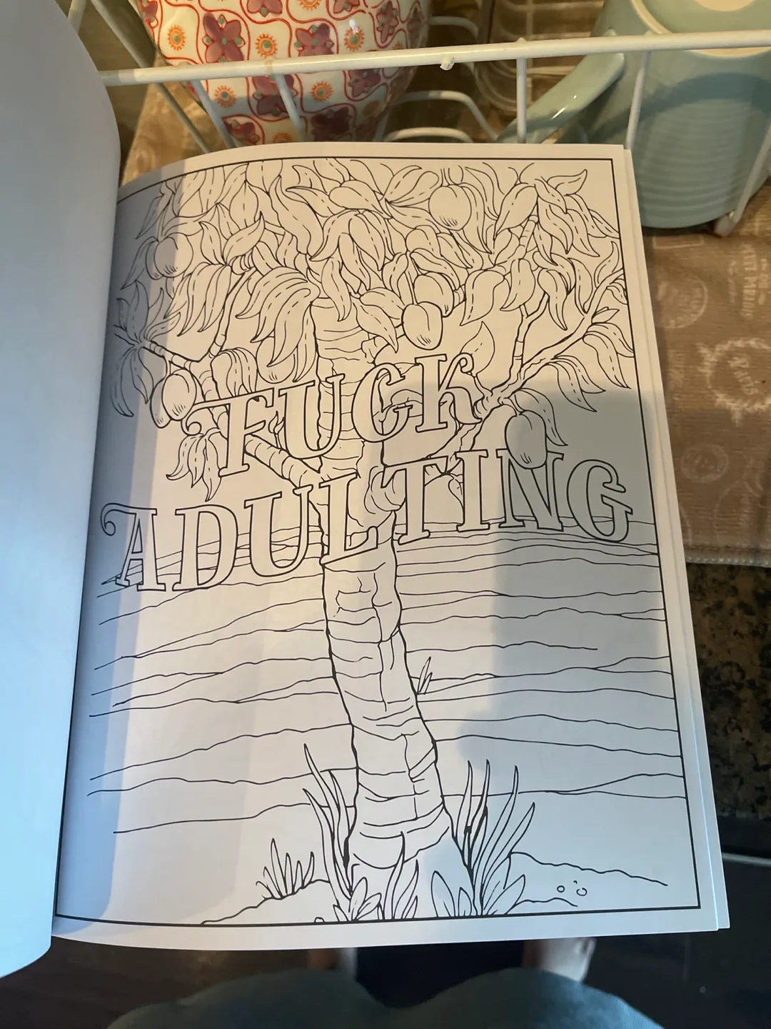 Adult coloring book “fuck off I’m coloring” image indicator(3)
