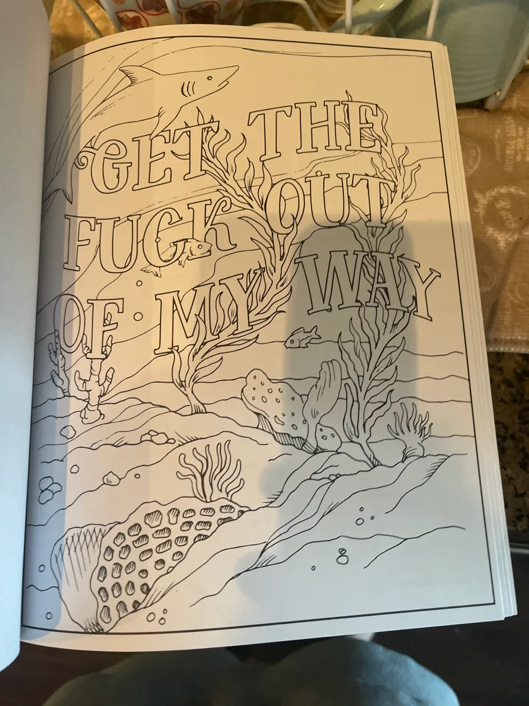 Adult coloring book “fuck off I’m coloring” image indicator(4)