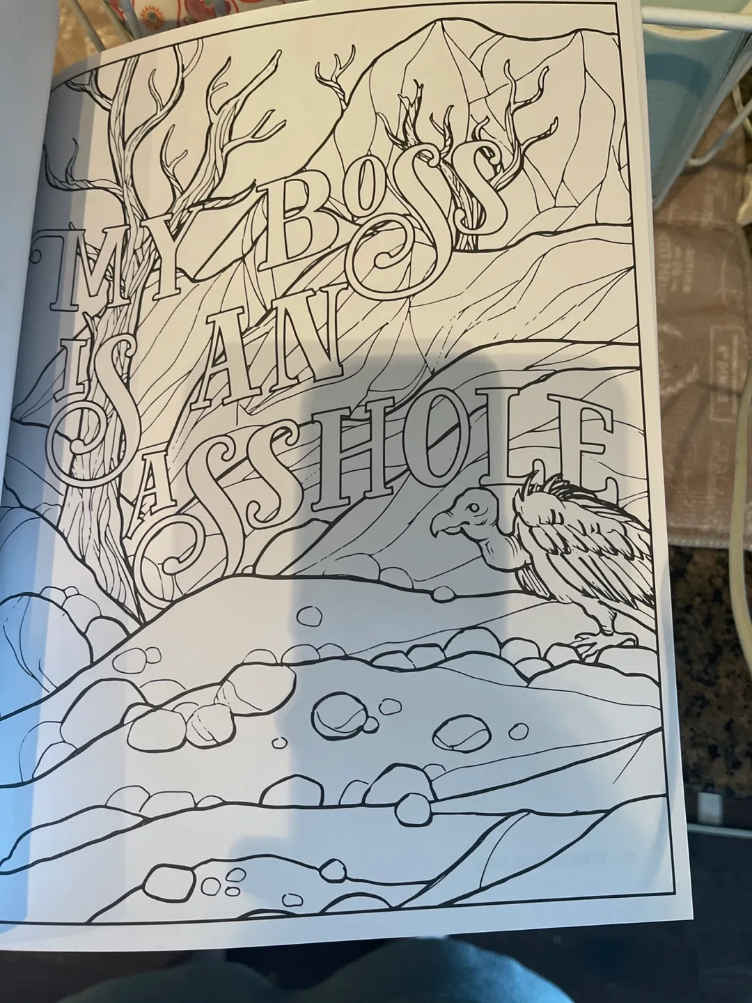 Adult coloring book “fuck off I��’m coloring” image indicator(8)