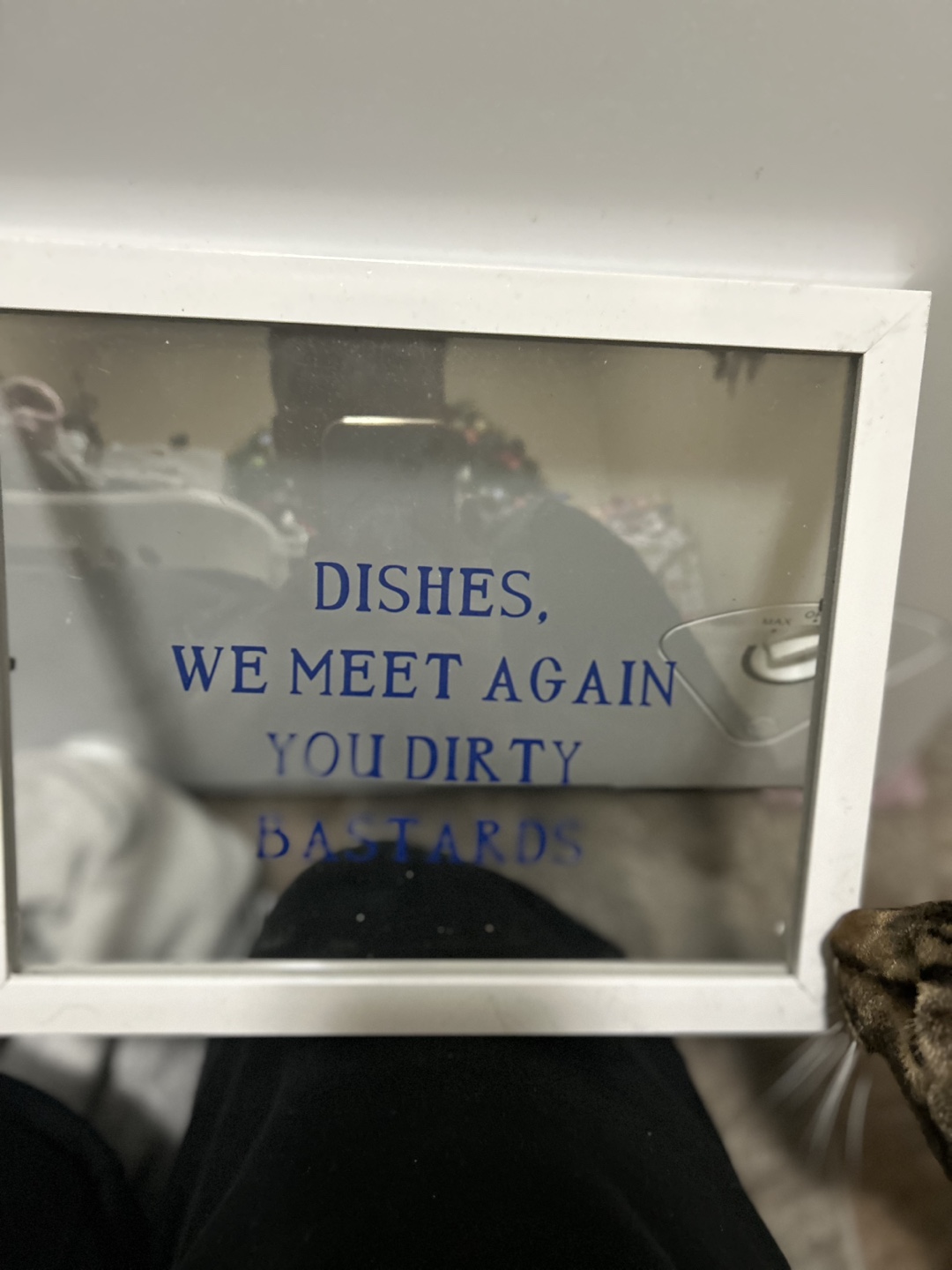 Dishes We Meet Again You Dirty Bastards Framed Sign