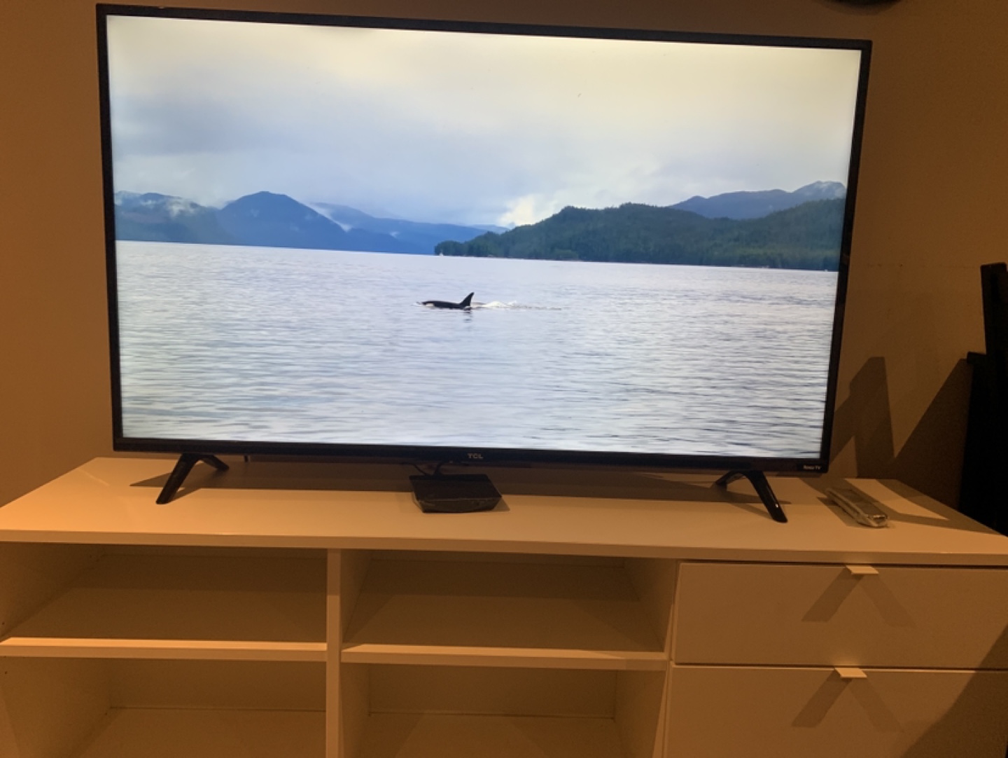 TCL 44 - inch Smart Roku TV - photo 5