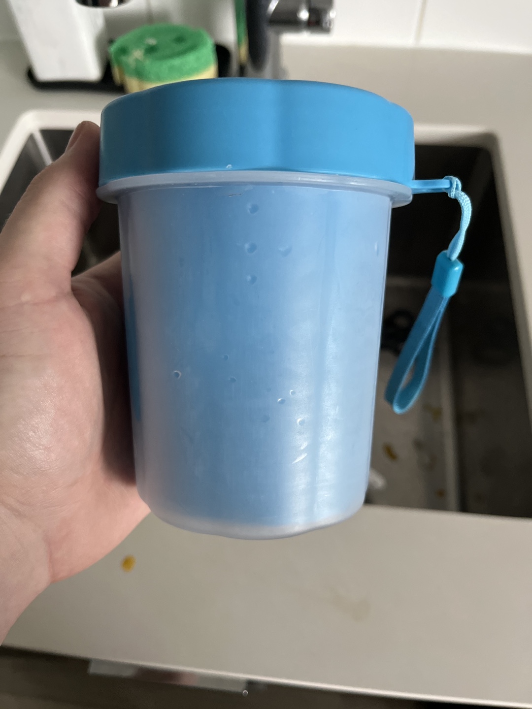 Blue Puppy/Small Dog Paw Washer
