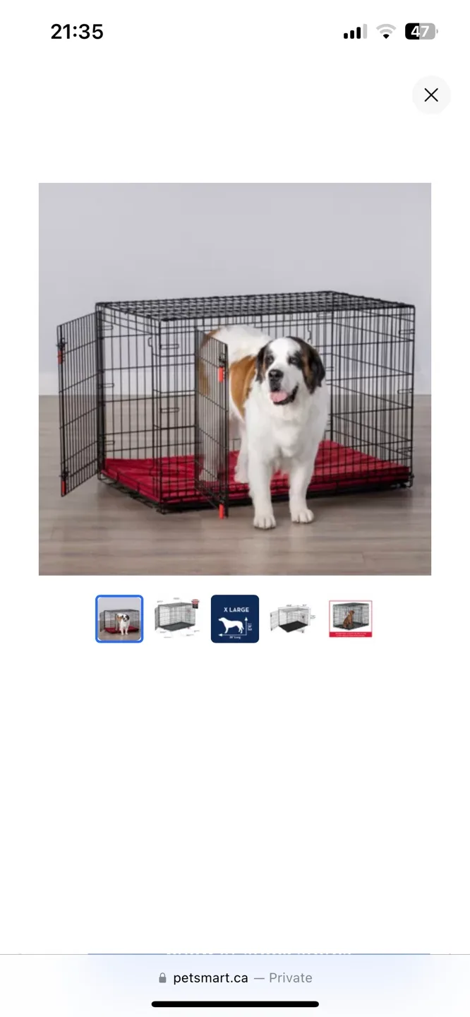 KONG Ultra-Strong Double Door Wire Dog Crate with Divider Panel image indicator(4)