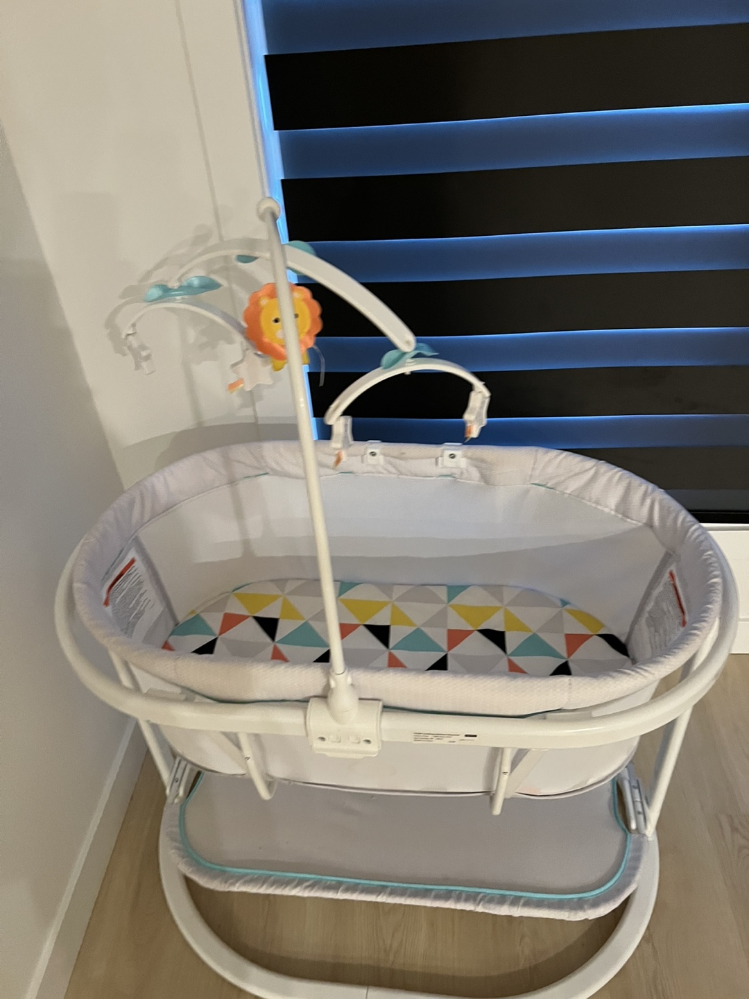 Baby Bassinet with Stand