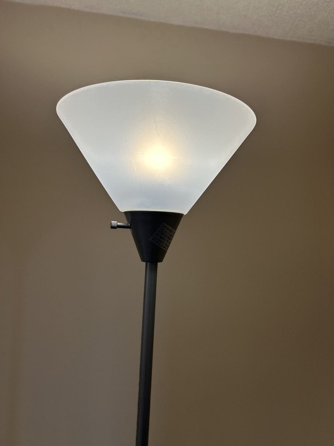 2 Floor Lamps