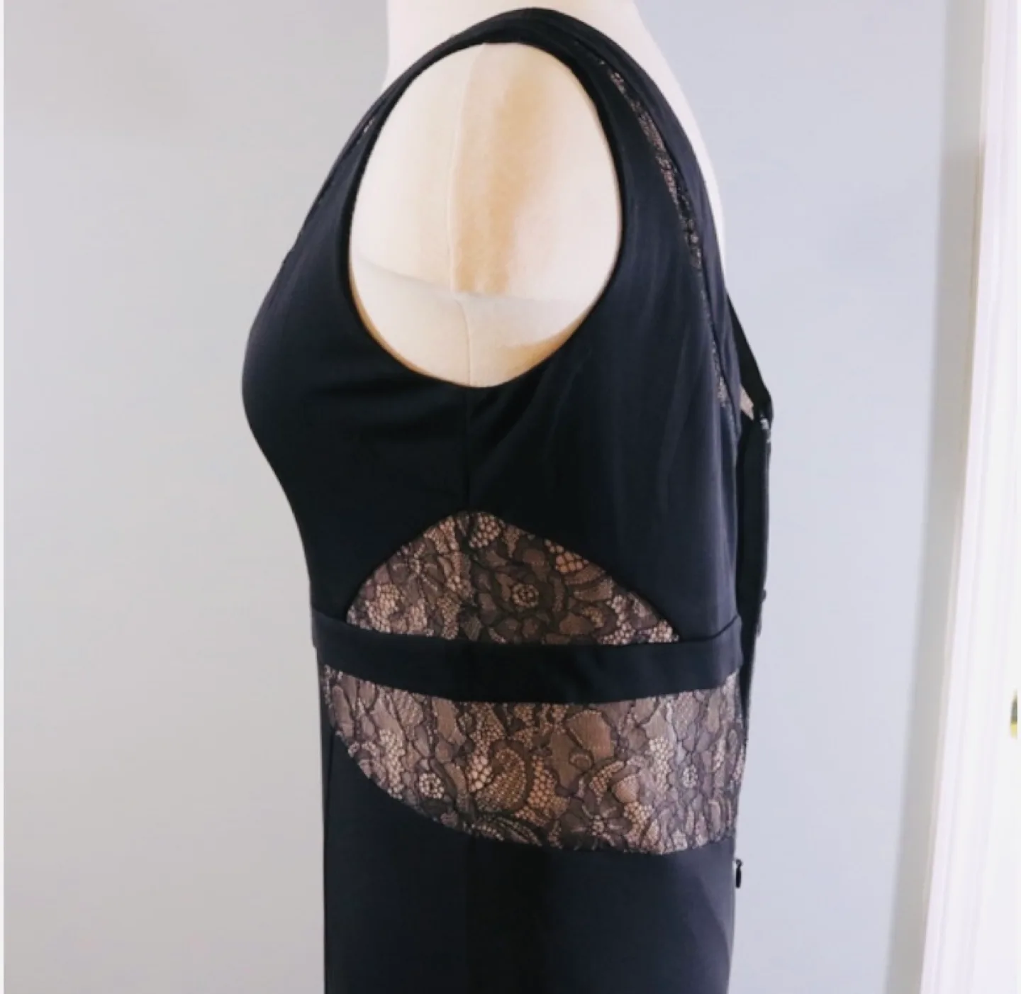 BCBG Black Lace Maxi Ball Gown image indicator(2)