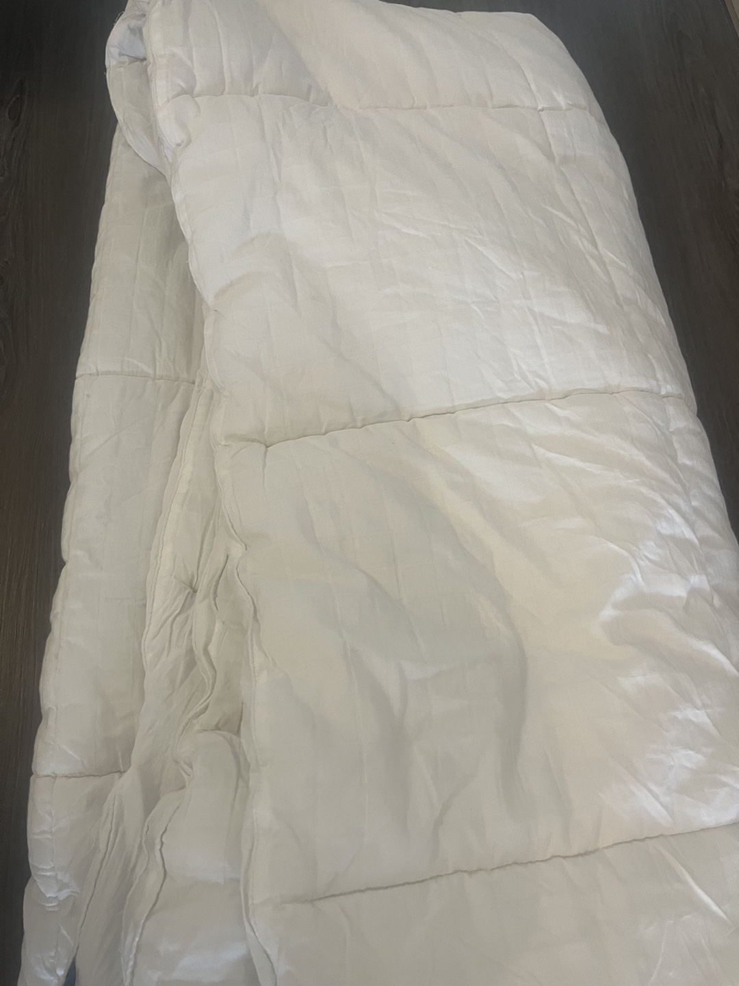 Sertapedic Down Alternative Comforter - photo 2