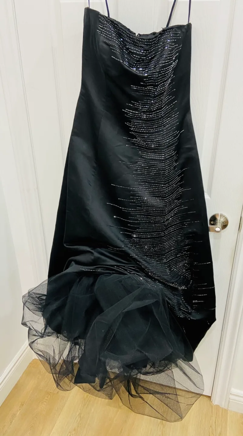 Black Strapless Silk Sequin Evening Gown image indicator(5)