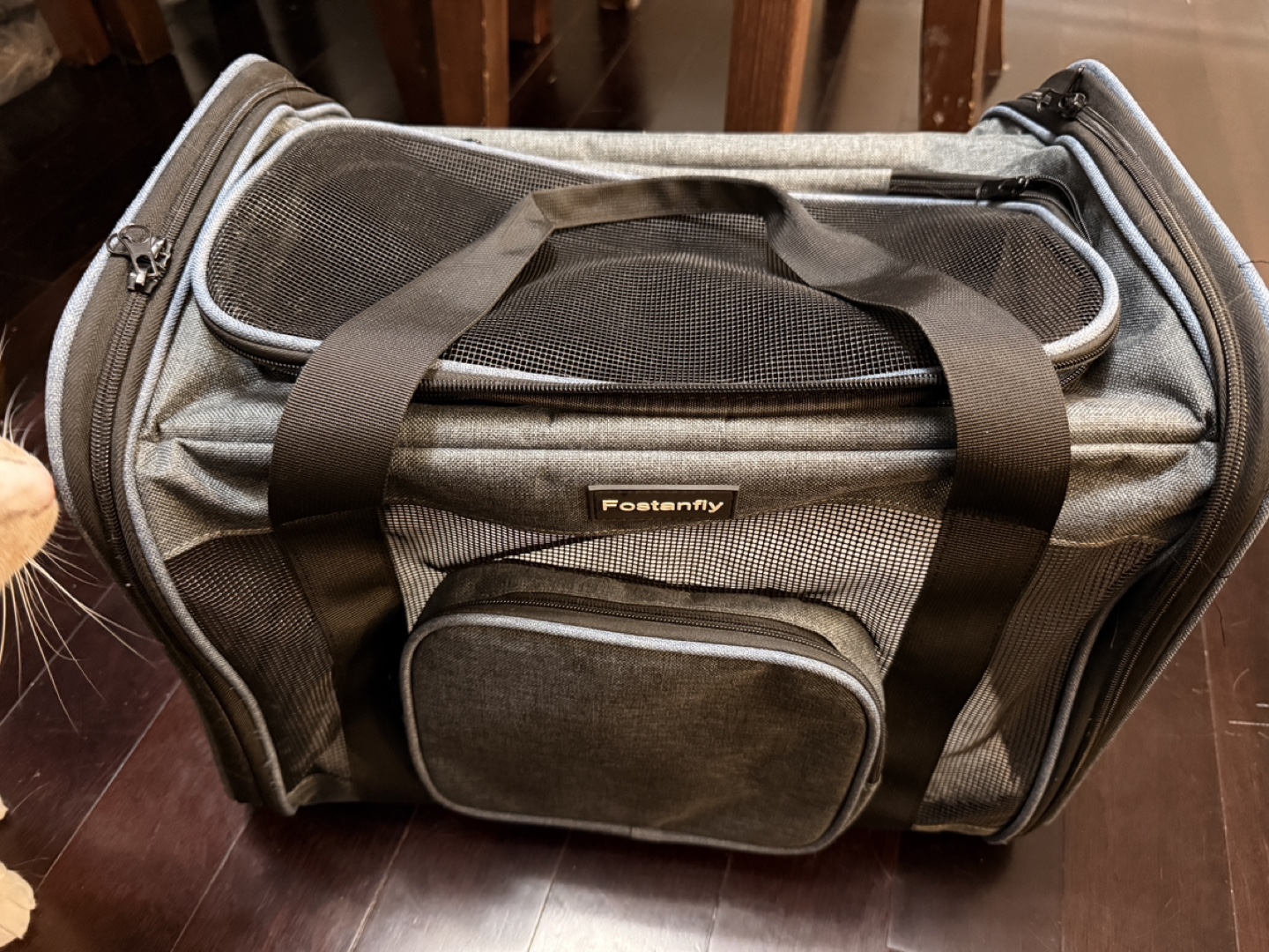 Pet carrier #freecycle
