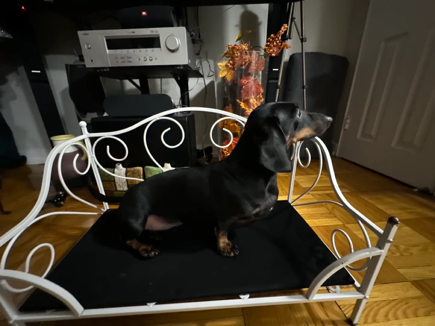 White Metal Dog Bed image indicator(2)