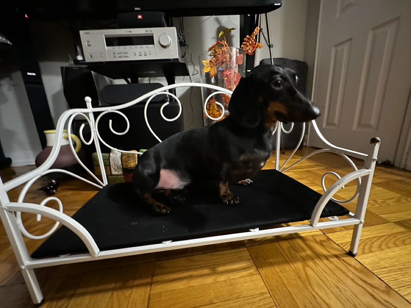 White Metal Dog Bed image indicator(3)