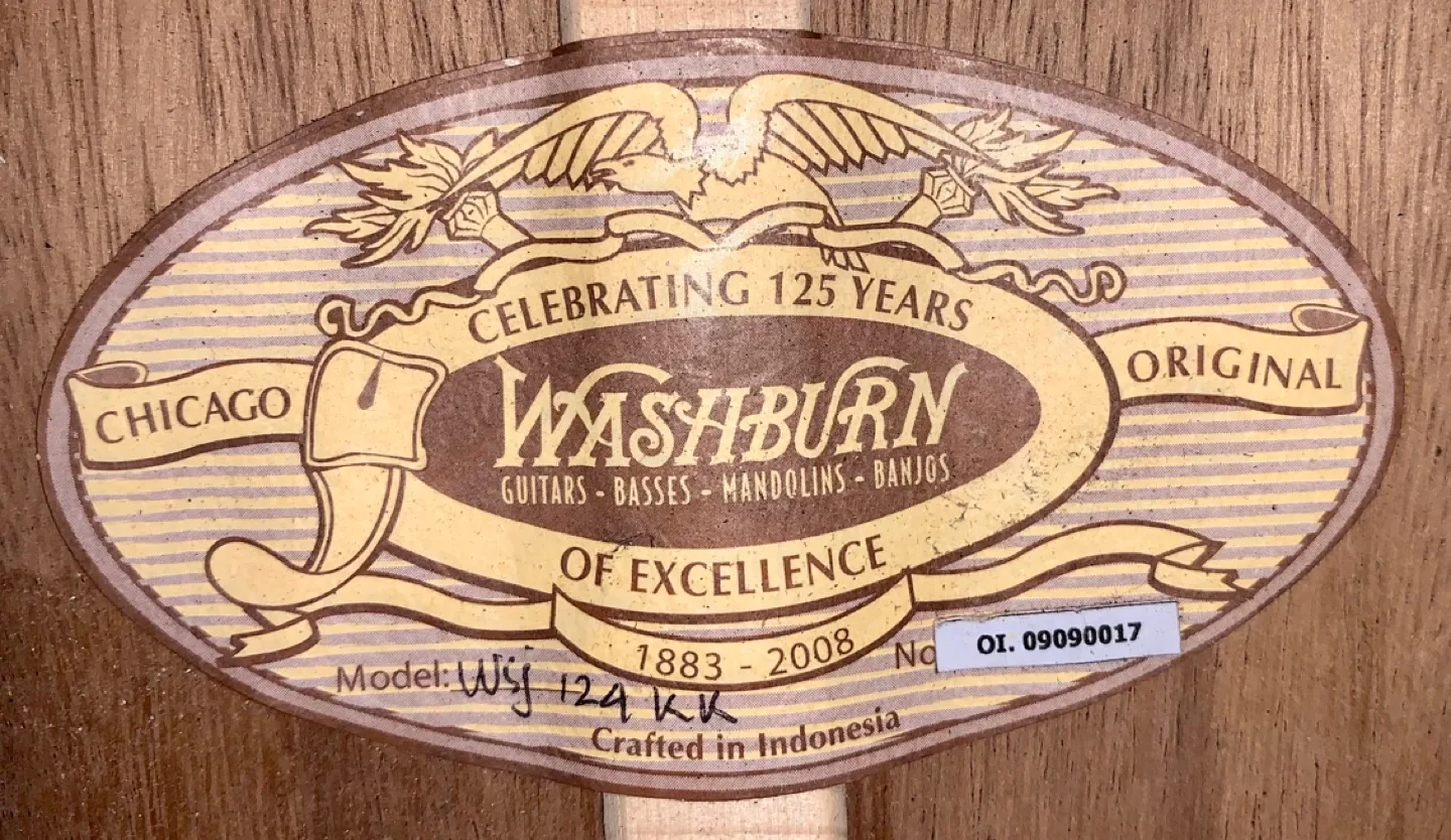 Washburn acoustic/electric with case image indicator(6)