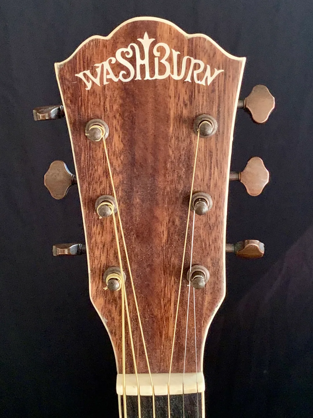 Washburn acoustic/electric with case image indicator(4)