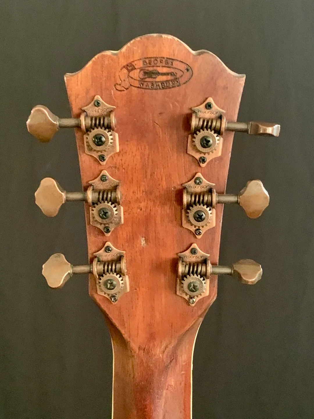 Washburn acoustic/electric with case image indicator(5)