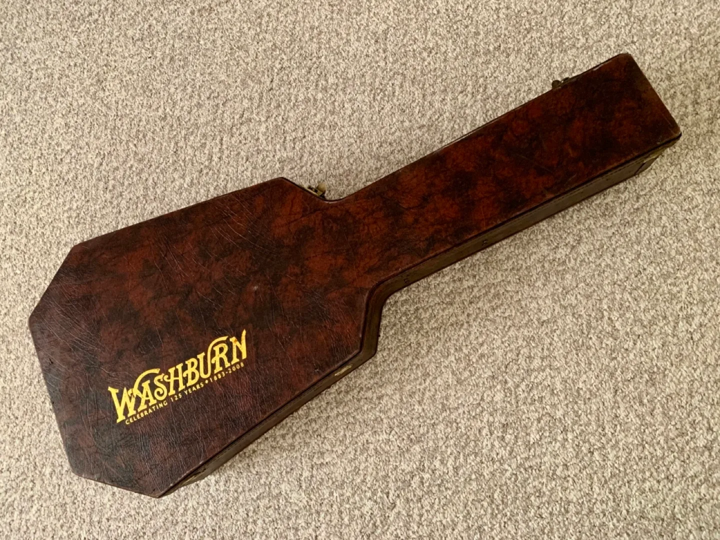 Washburn acoustic/electric with case image indicator(9)