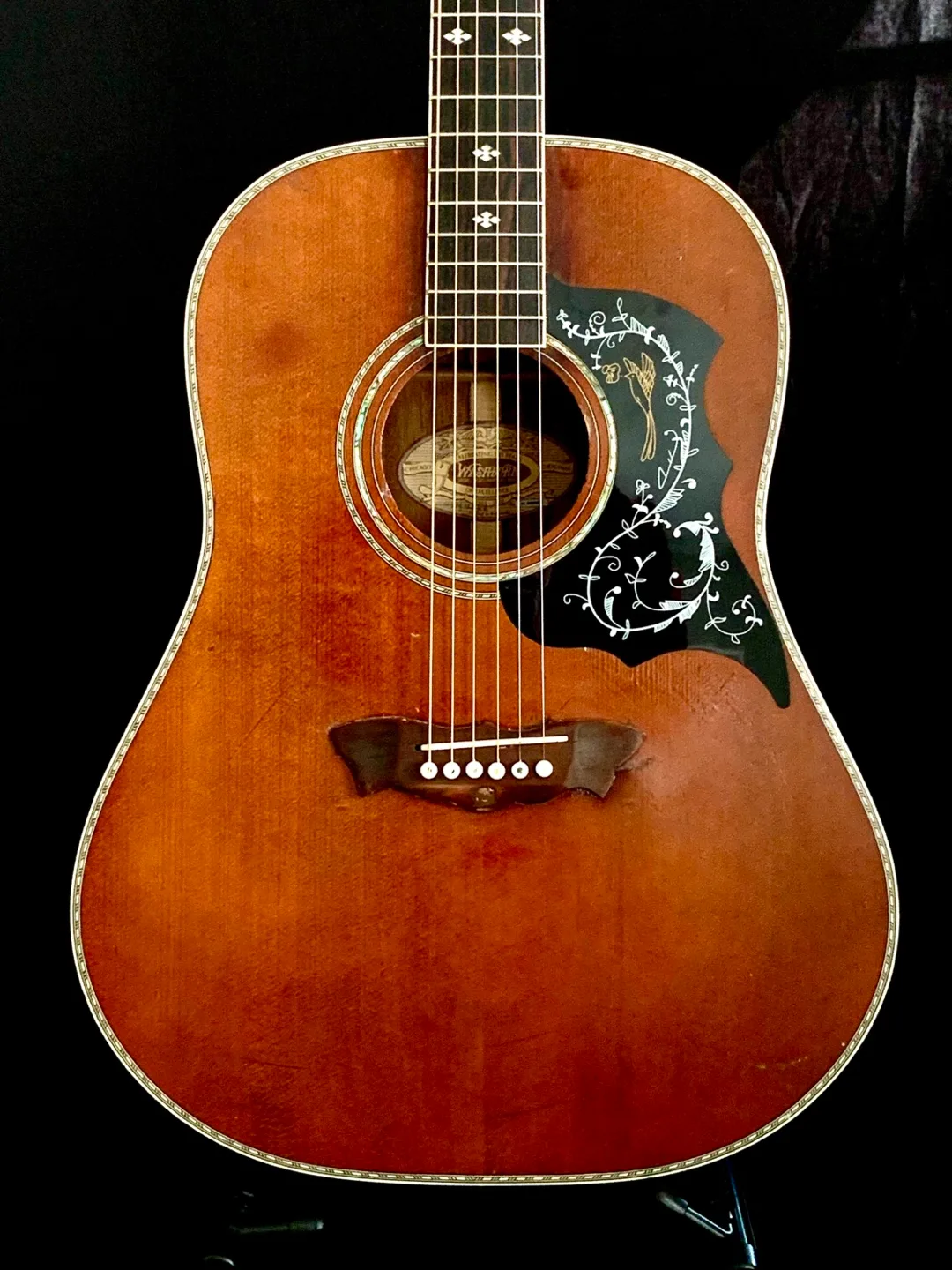 Washburn acoustic/electric with case image indicator(2)