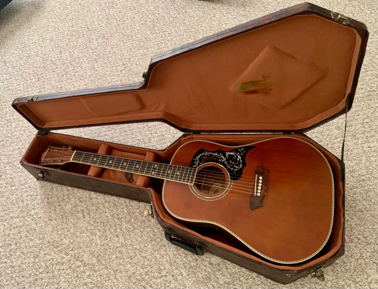 Washburn acoustic/electric with case image indicator(10)