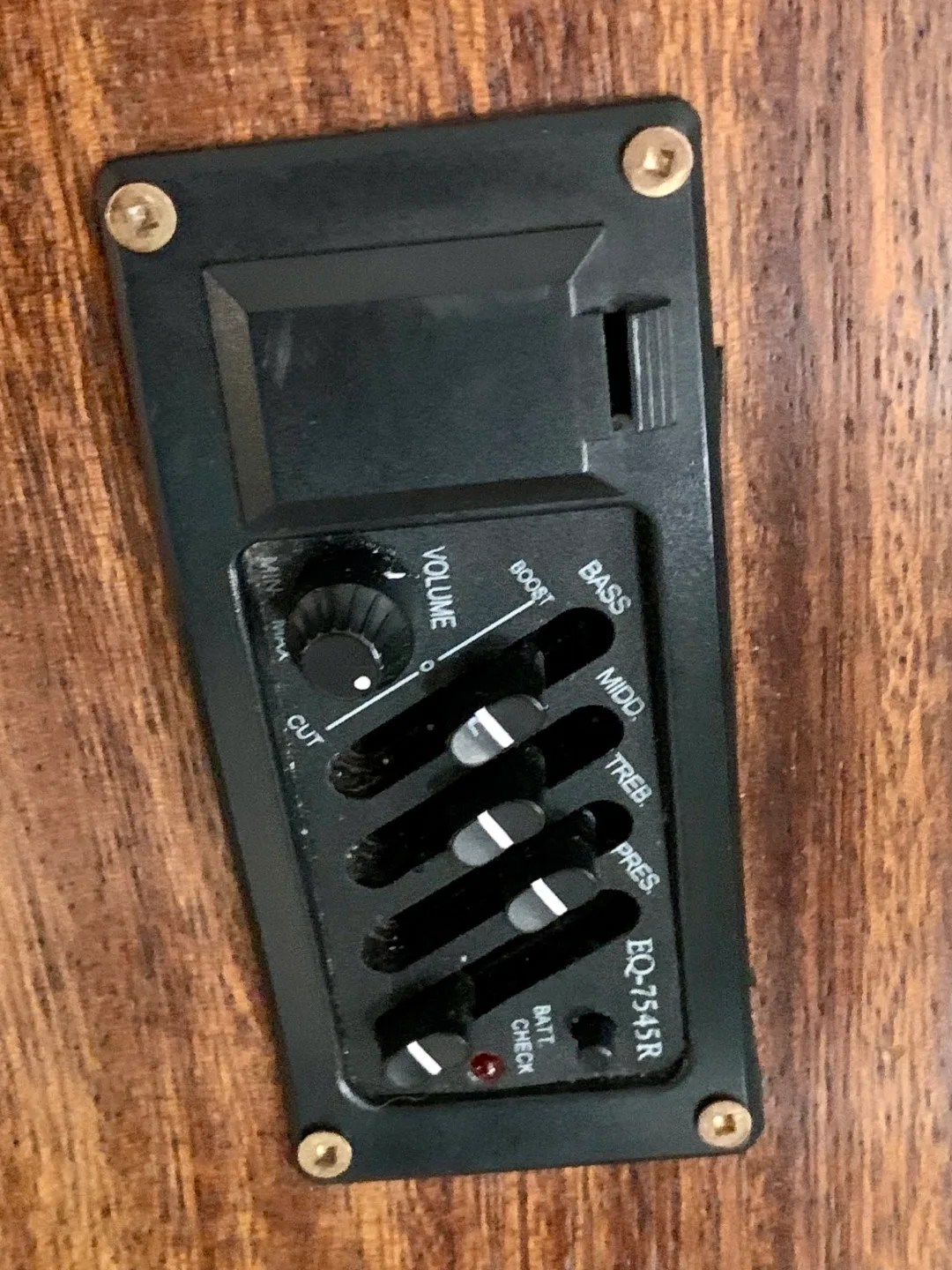 Washburn acoustic/electric with case image indicator(8)