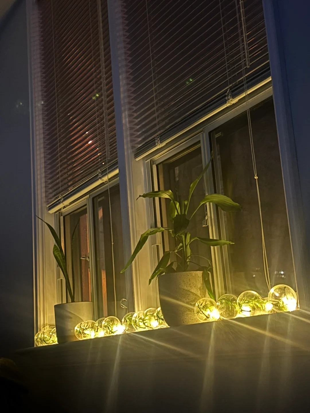 Fairy Lights with Plant Bulbs thumbnail