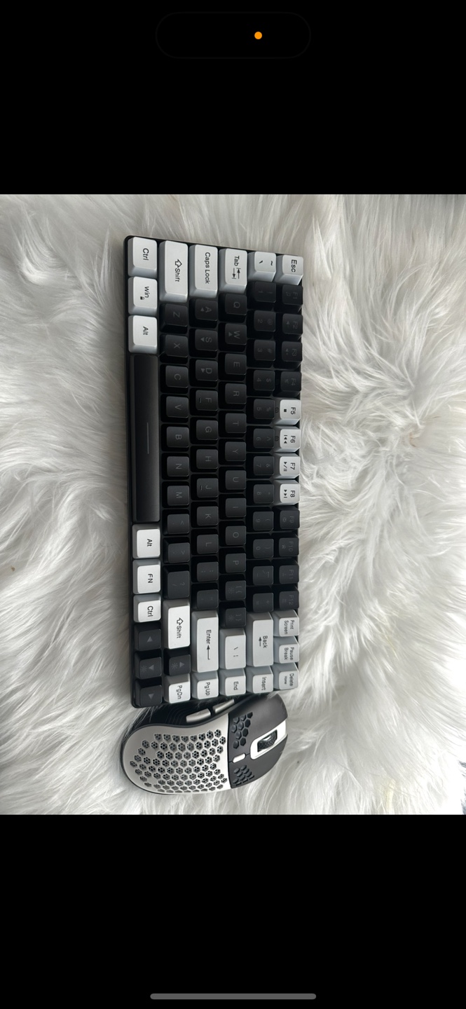 Wired Keyboard and Mouse Combo