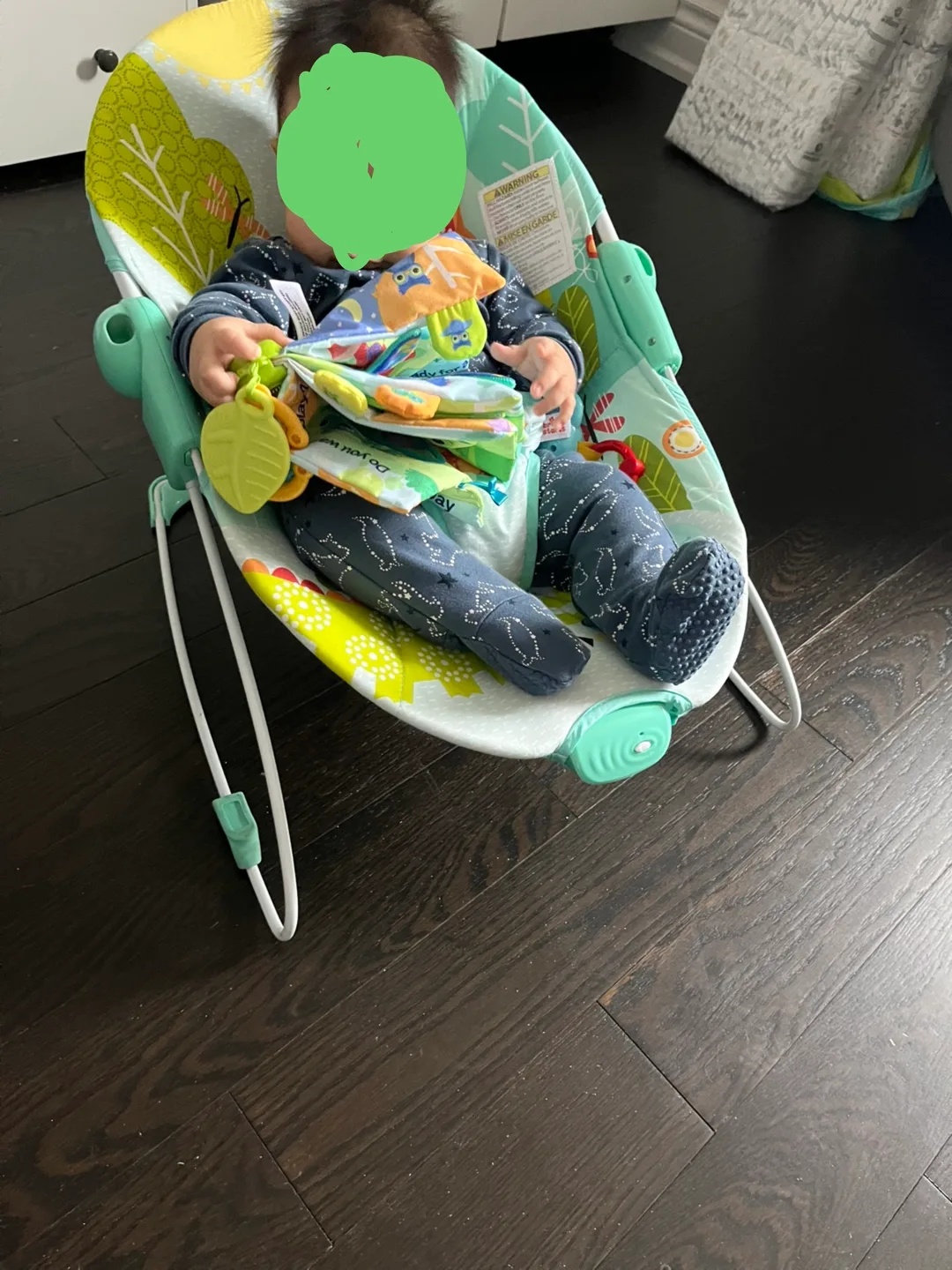 Both: Playmat and bouncing chair image indicator(2)