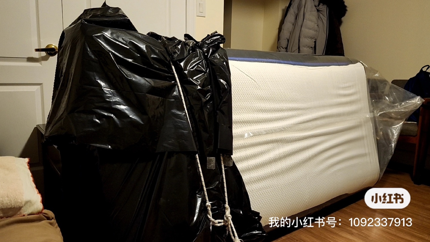 The Brick brand twin mattress,brand new and unused - photo 4