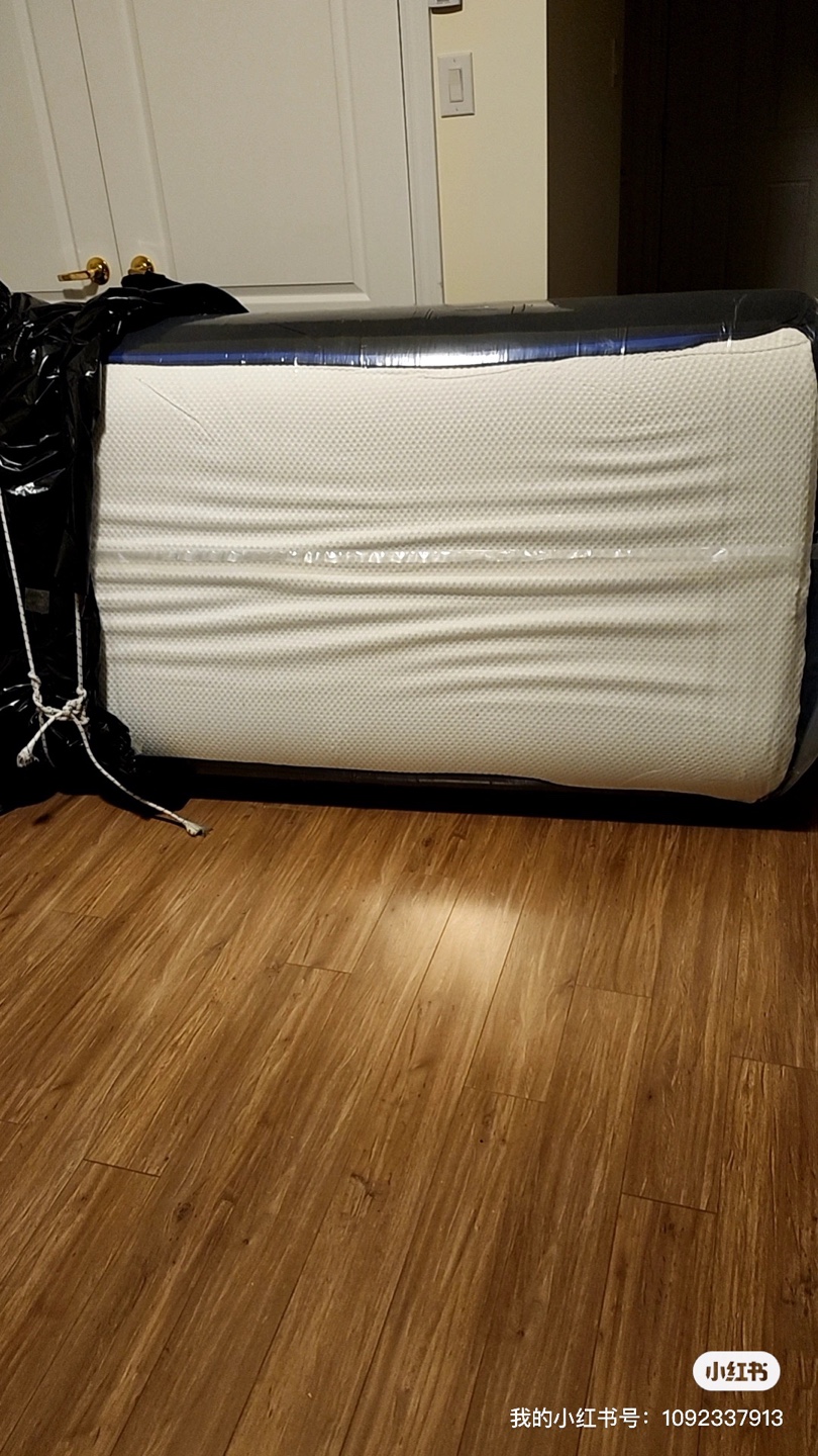 The Brick brand twin mattress,brand new and unused - photo 5