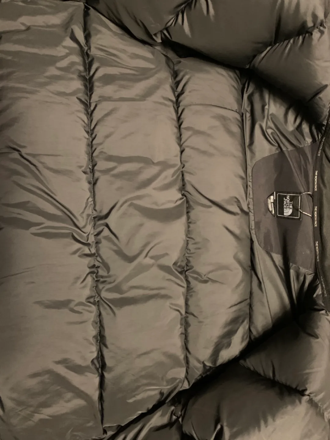 The North Face Mens Winter Jacket image indicator(4)