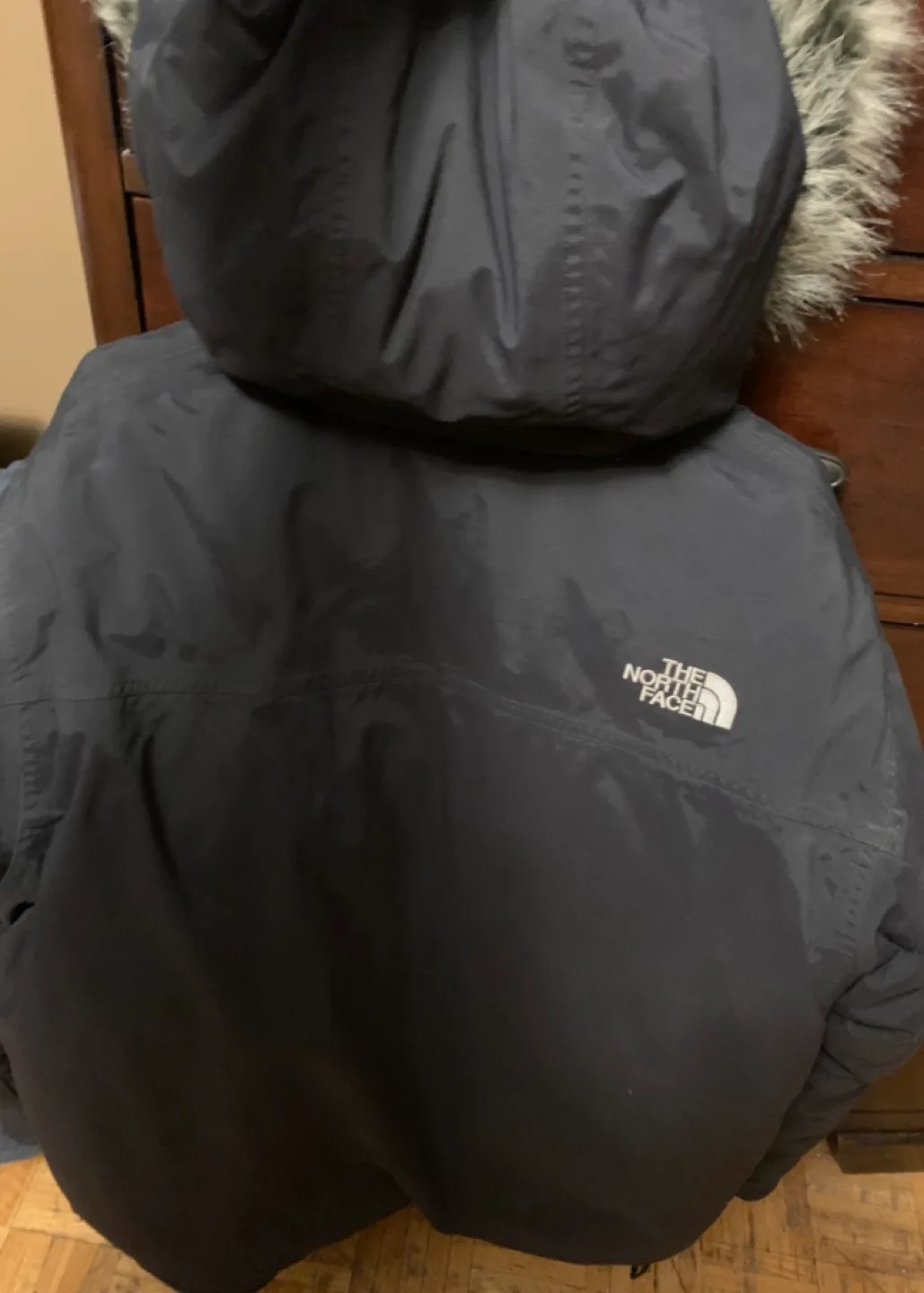 The North Face Mens Winter Jacket image indicator(2)