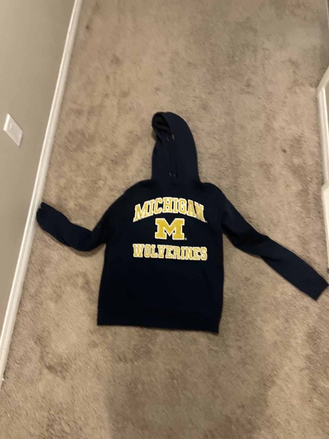 Michigan Wolverines Hoodie
