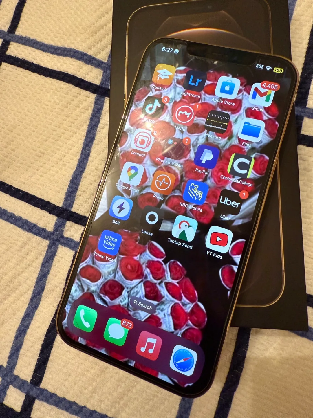 iPhone 12 Pro Max Gold 256GB image indicator(7)