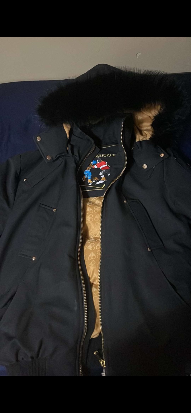 Moose knuckles black and gold bomber