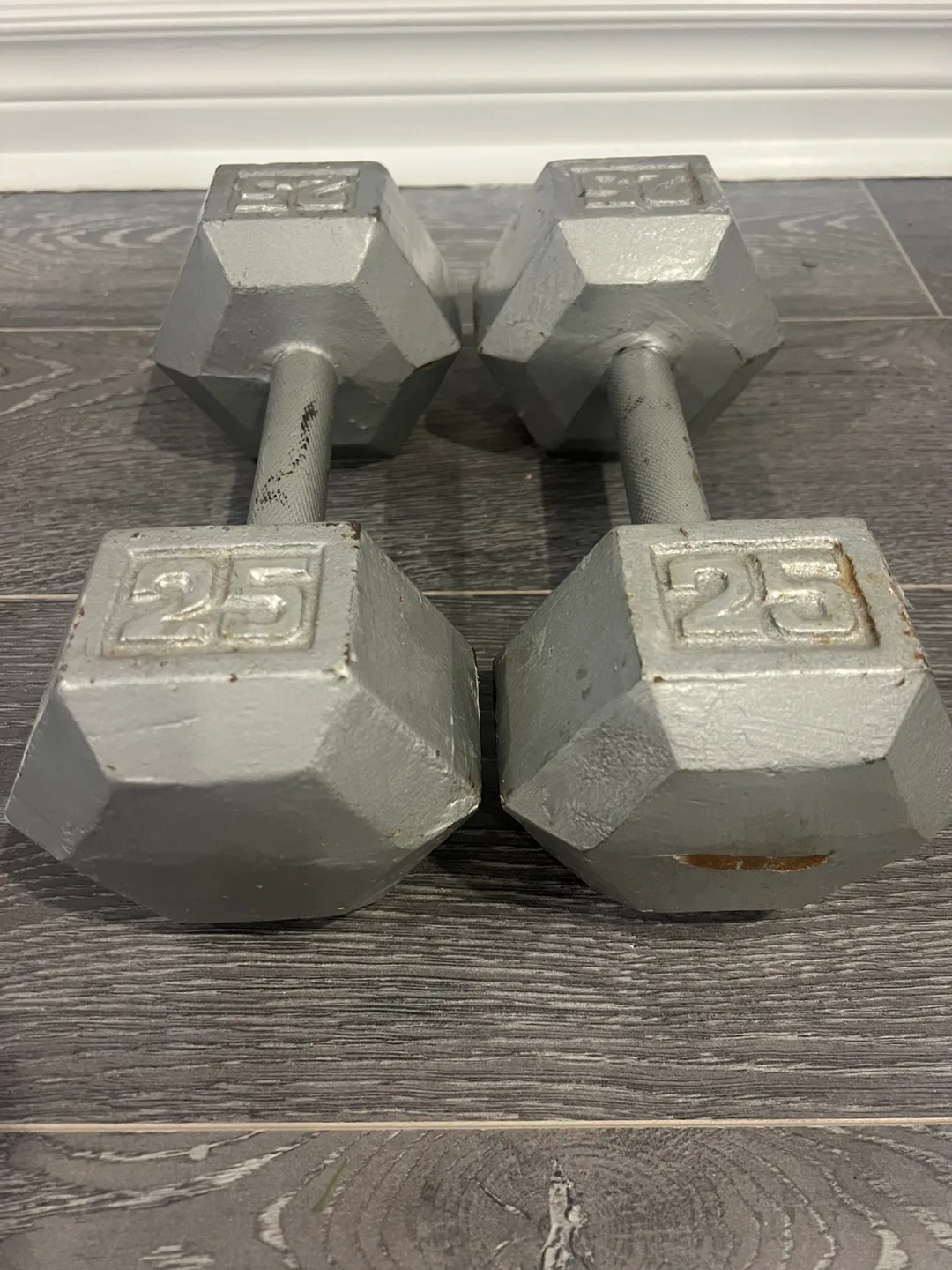 25lb Dumbbells 💪 image indicator(2)
