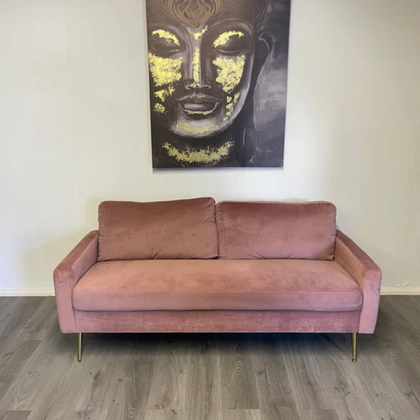 Wayfair Pink Velvet Sofa with Gold Legs