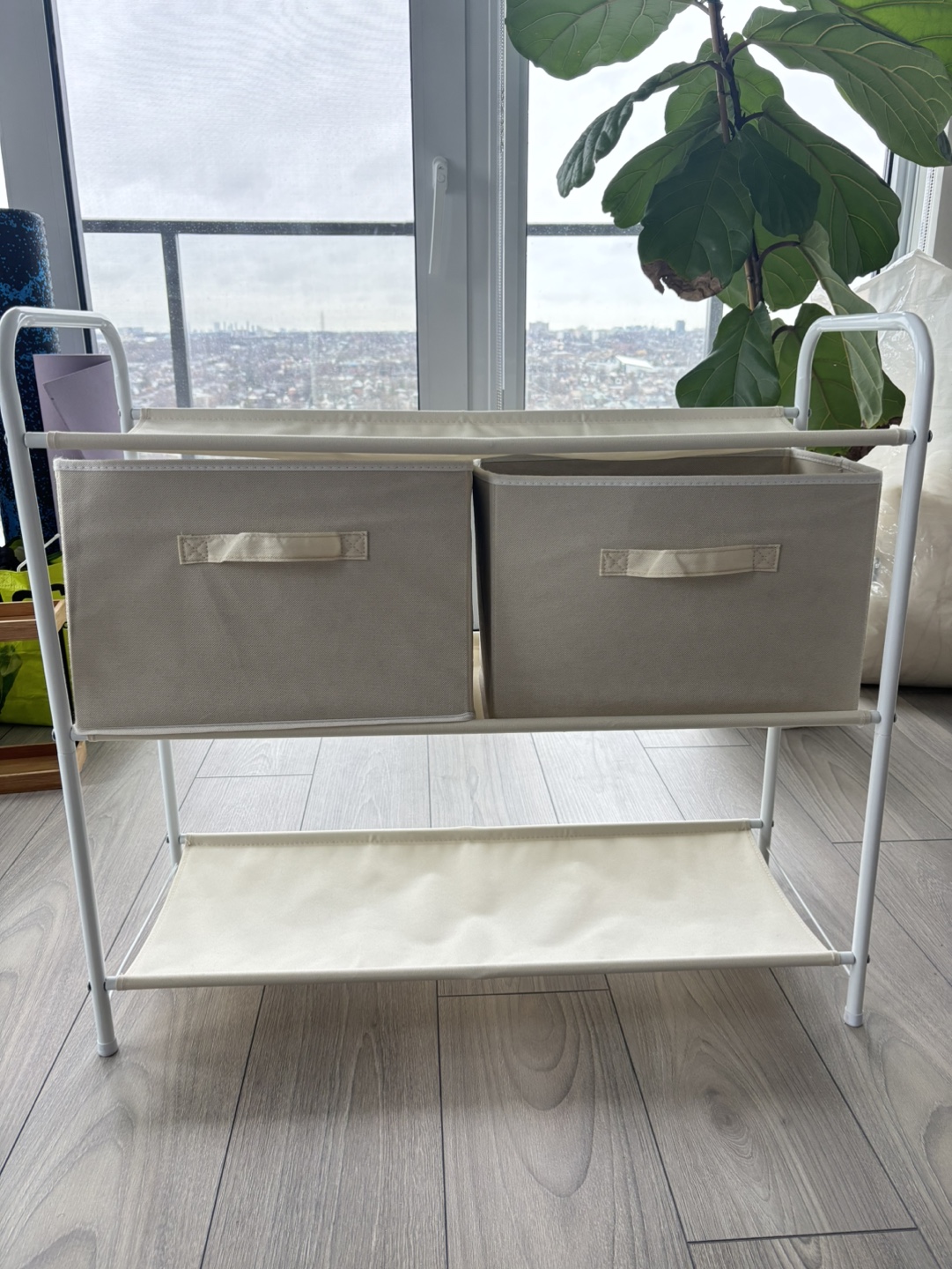 Amazon Basics Closet Storage Organizer