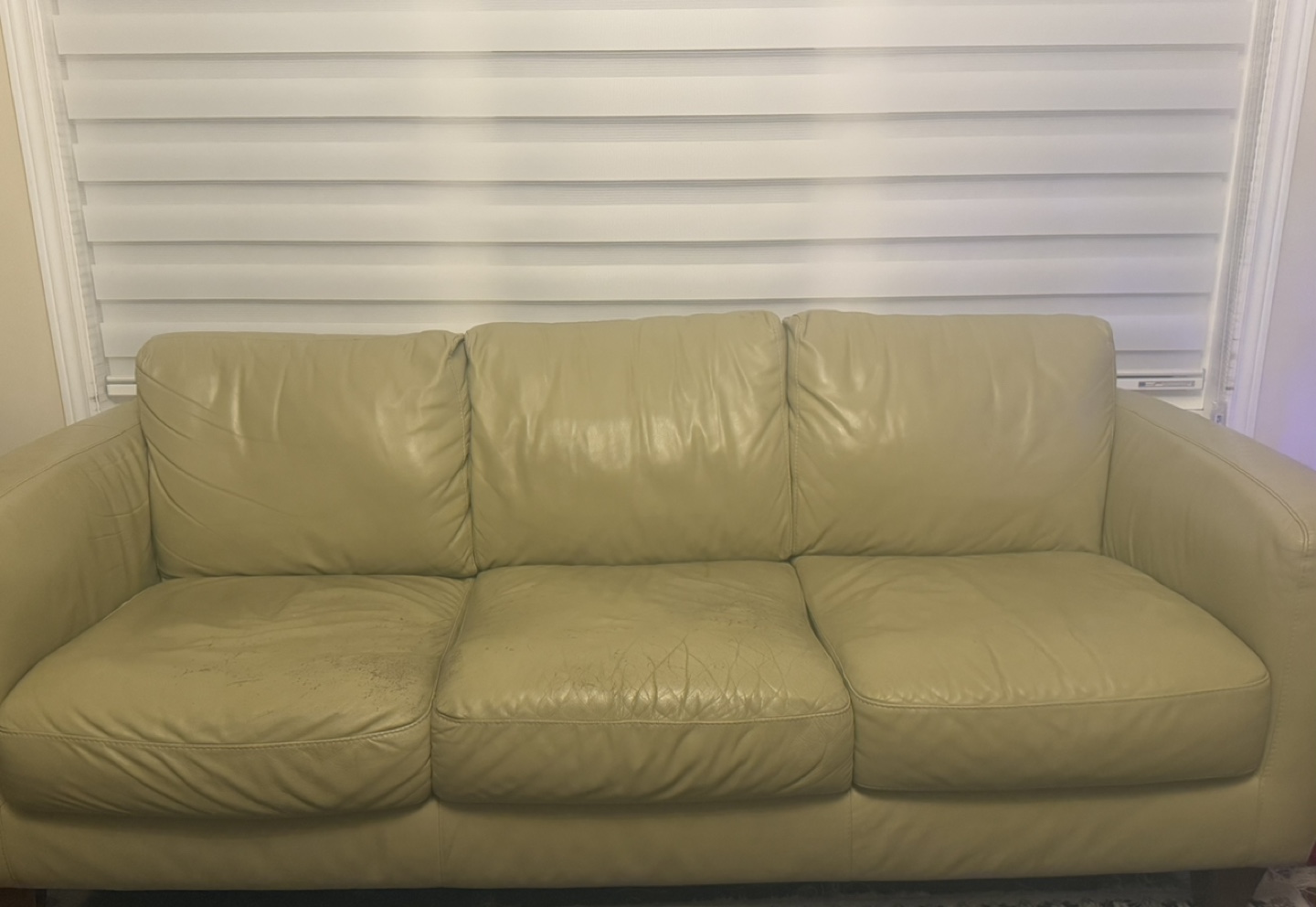 Leather Sofa