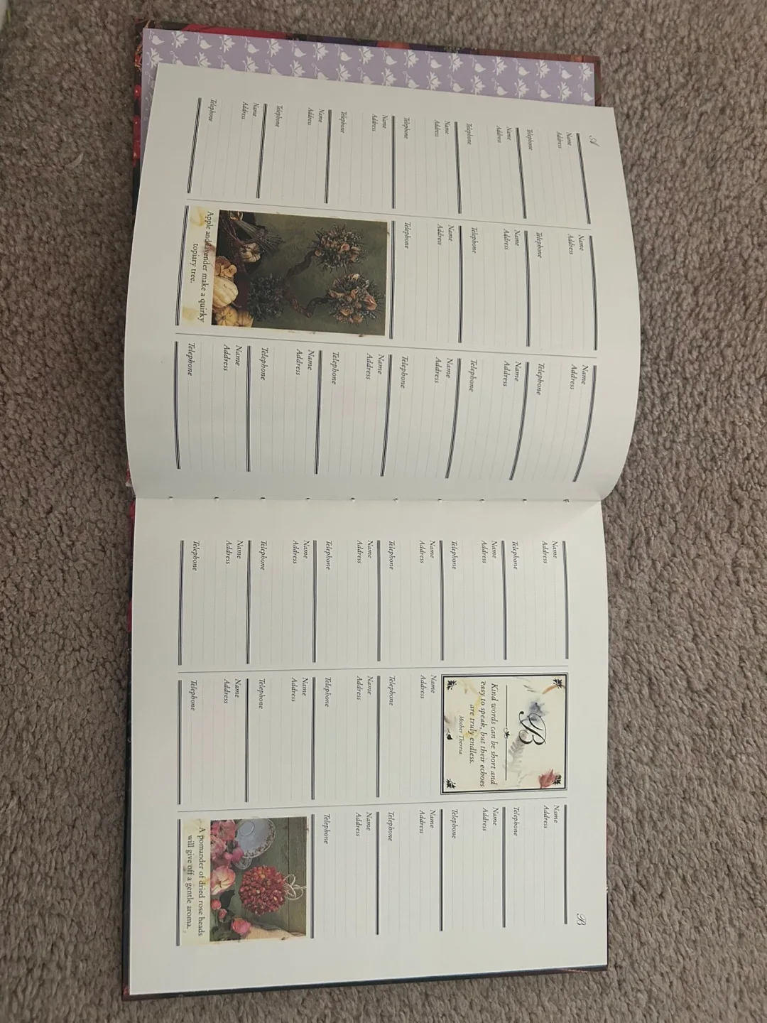 Address Book - A directory of flowers and friends image indicator(2)