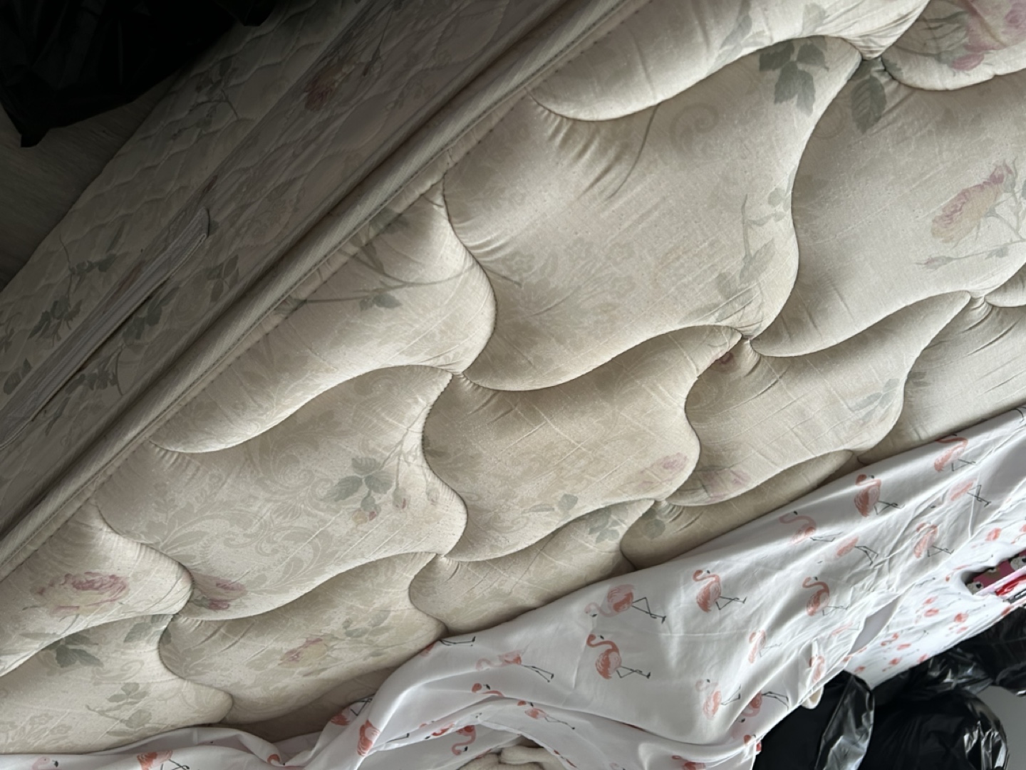 Queen Mattress and Box Spring for free - photo 2