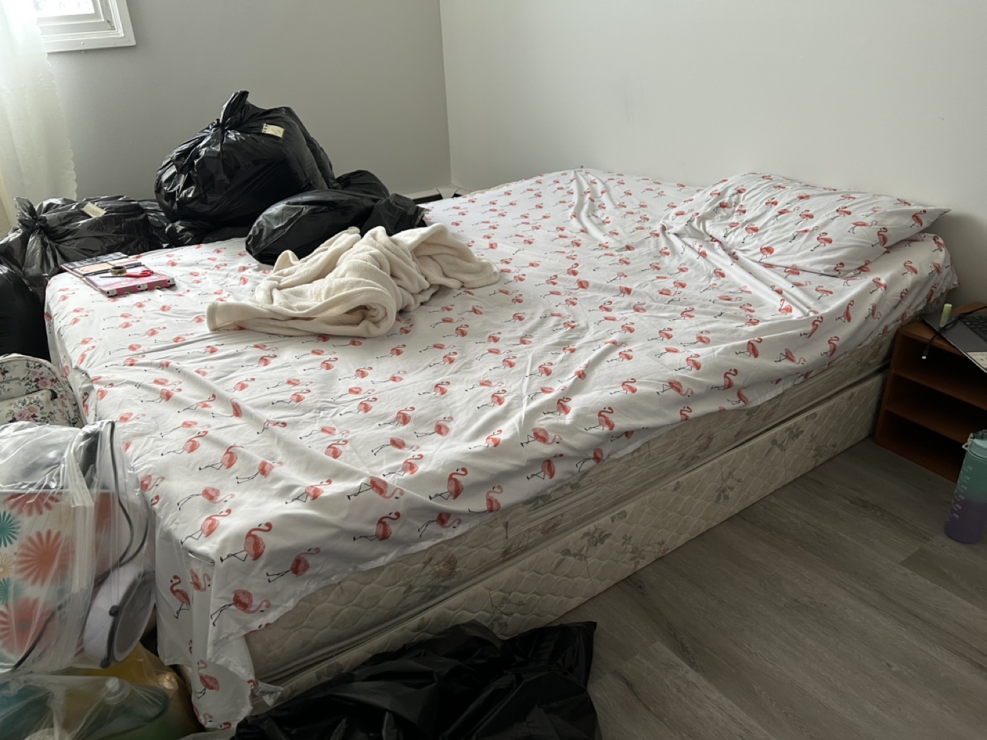 Queen Mattress and Box Spring for free