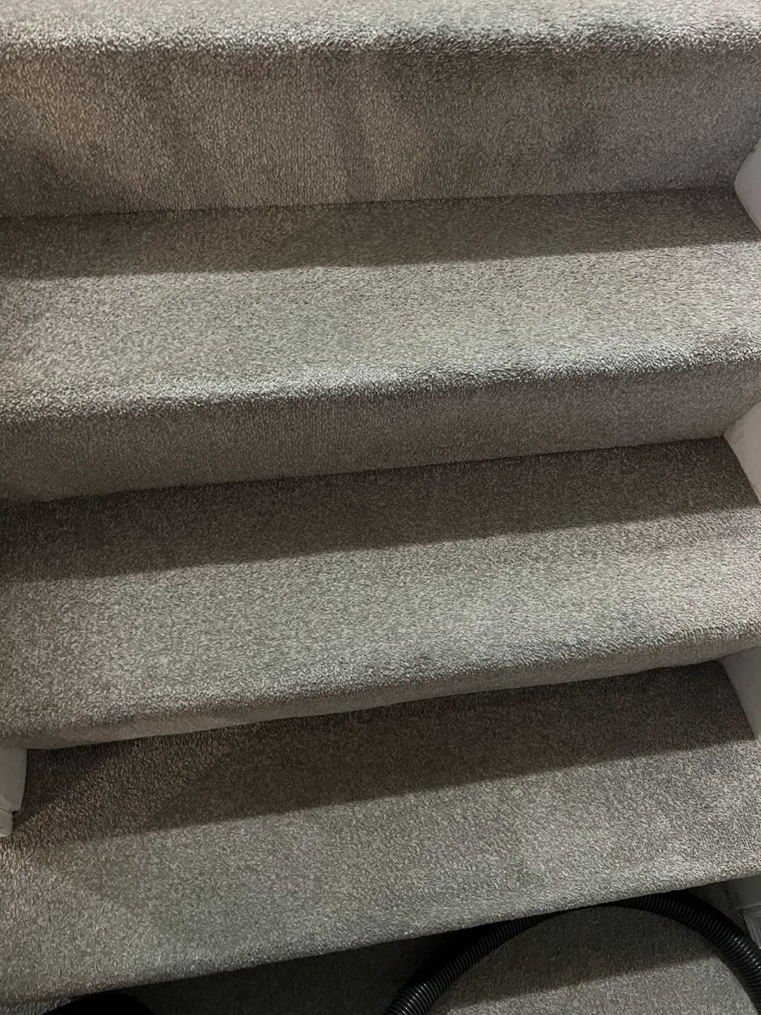 Commercial Vacuum Cleaning Rental image indicator(9)