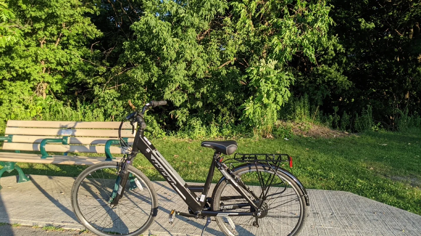 Pedal Assisted Ebike image indicator(2)