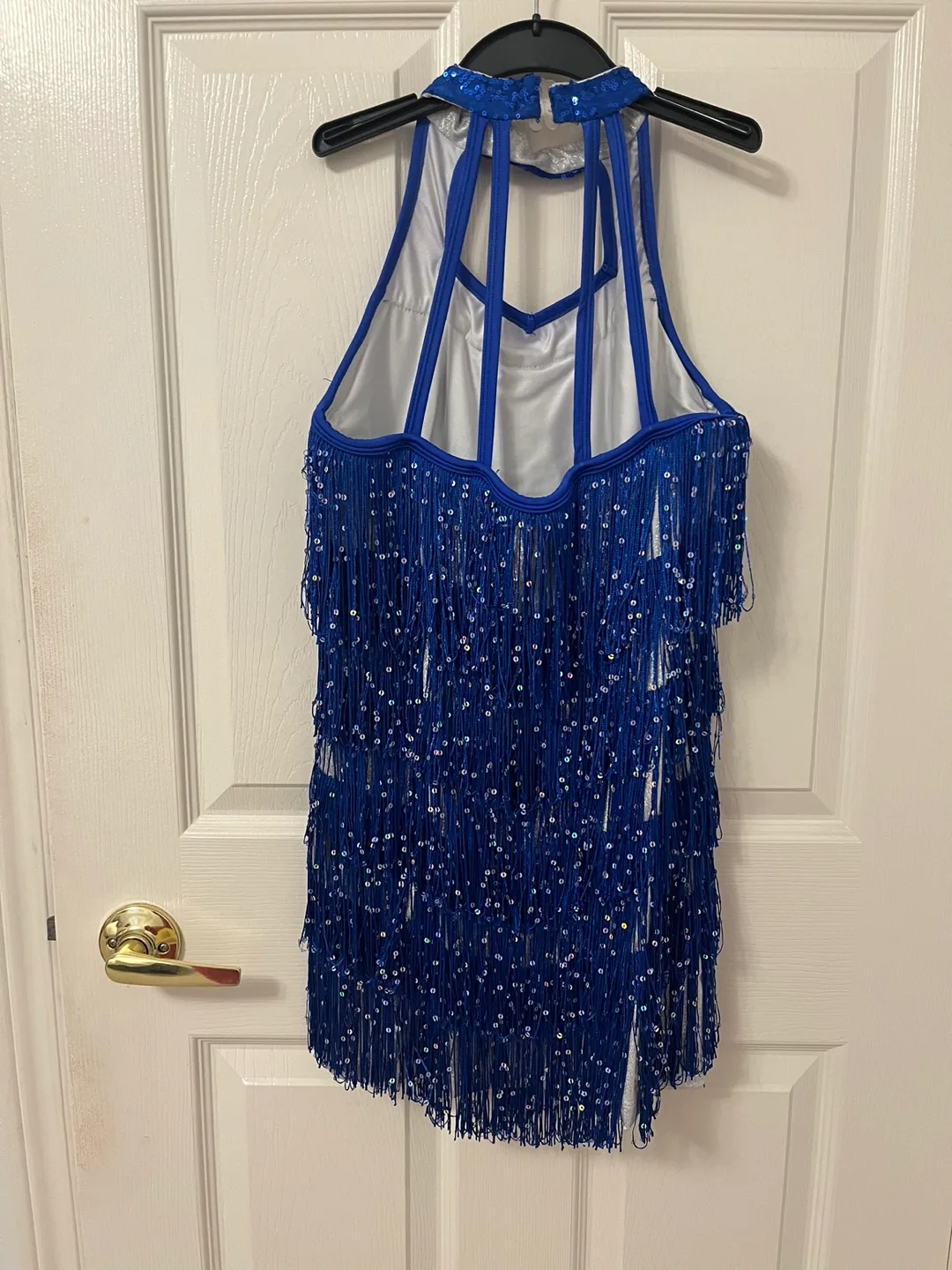 Blue Sequined Fringe salsa Dress image indicator(2)