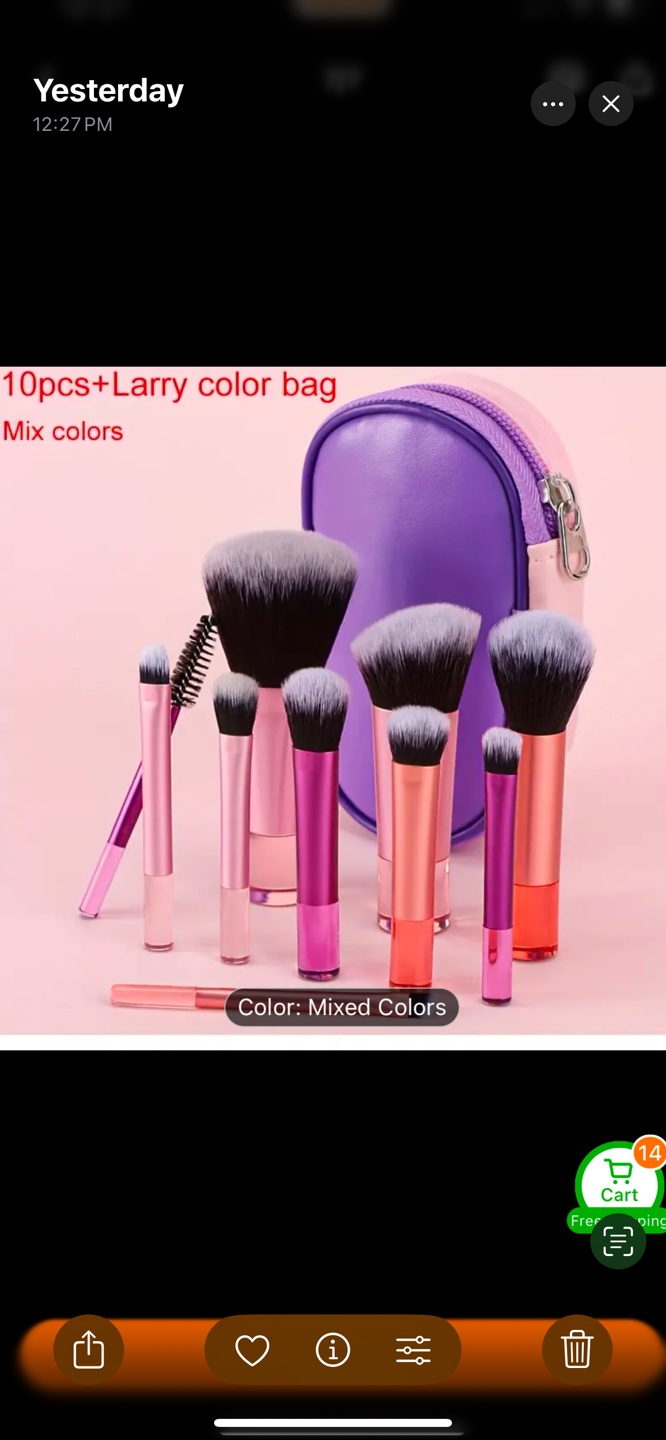 10 pieces Makeup Brush Set with Case
