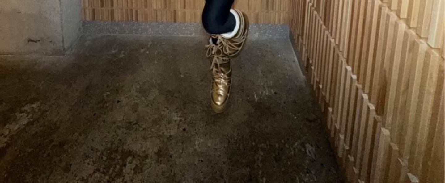 Moon Boot - Gold
